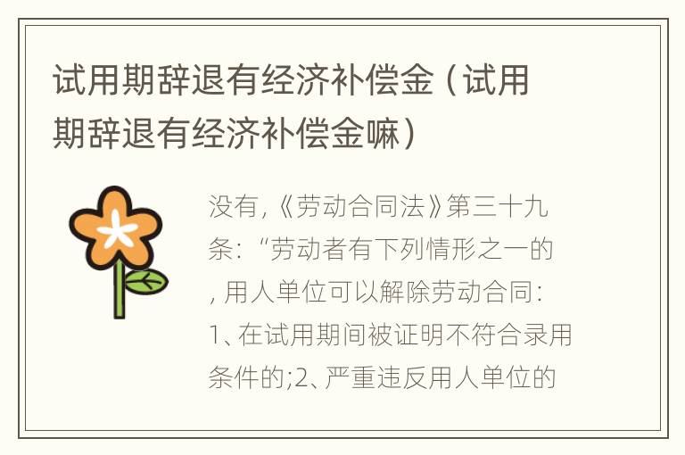 试用期辞退有经济补偿金（试用期辞退有经济补偿金嘛）