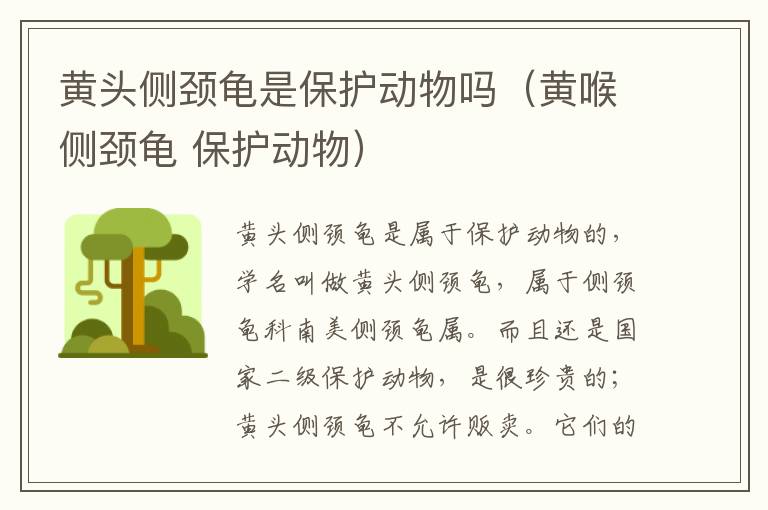 黄头侧颈龟是保护动物吗（黄喉侧颈龟 保护动物）