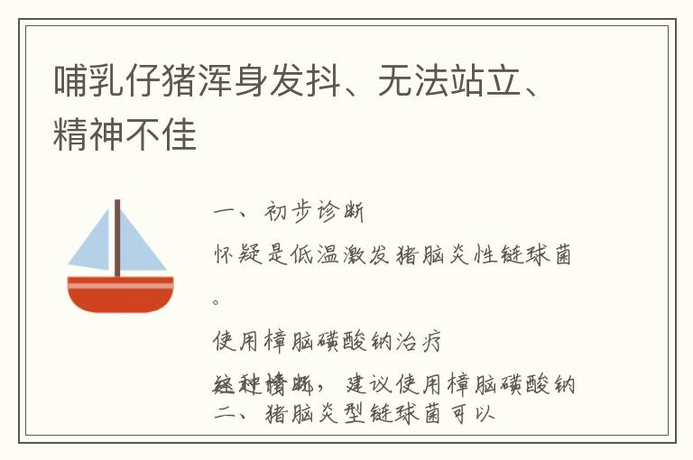 哺乳仔猪浑身发抖、无法站立、精神不佳