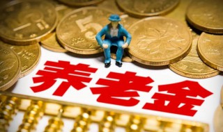 养老保险缴费标准 养老保险缴费标准是什么？