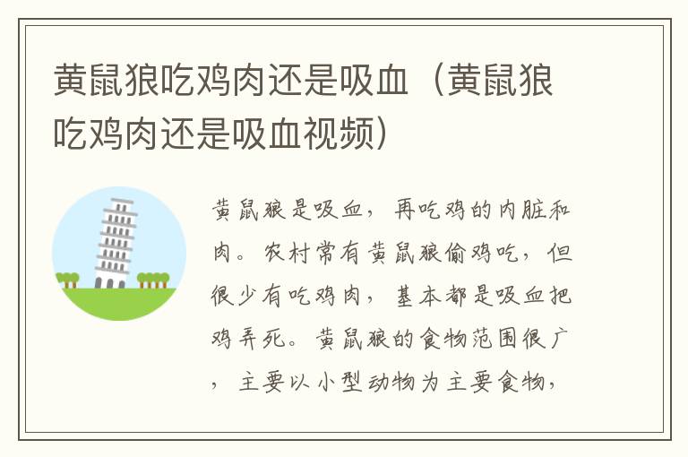 黄鼠狼吃鸡肉还是吸血（黄鼠狼吃鸡肉还是吸血视频）