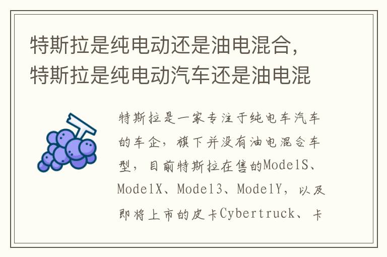 特斯拉是纯电动还是油电混合，特斯拉是纯电动汽车还是油电混合