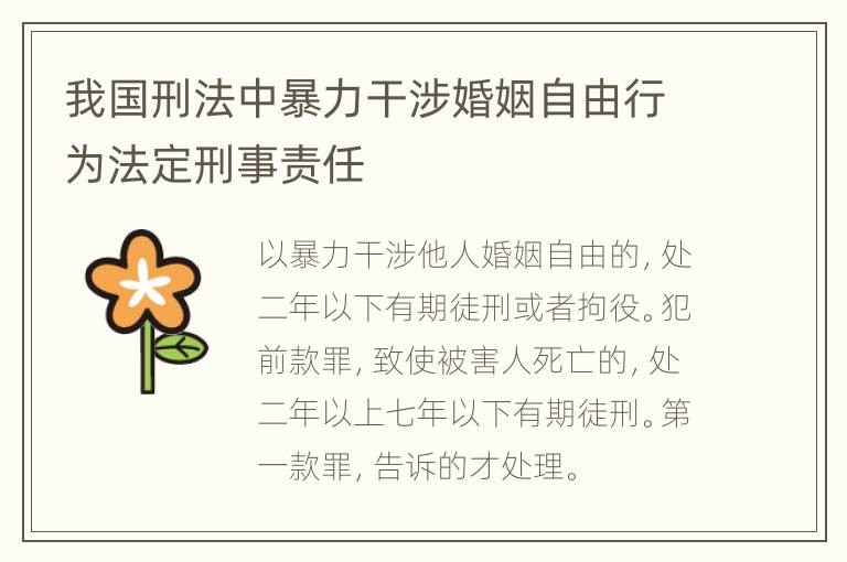 我国刑法中暴力干涉婚姻自由行为法定刑事责任