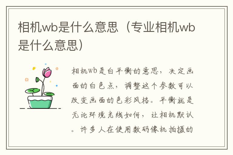 相机wb是什么意思（专业相机wb是什么意思）