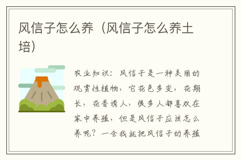 风信子怎么养（风信子怎么养土培）