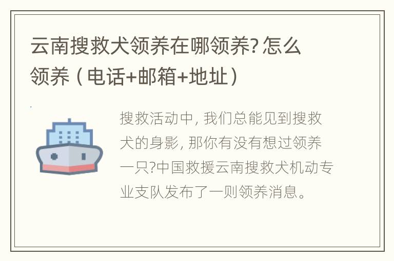 云南搜救犬领养在哪领养？怎么领养（电话+邮箱+地址）