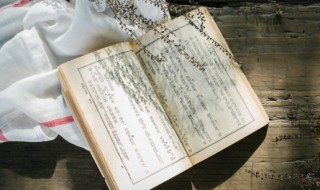 经典名句 经典名句有哪些