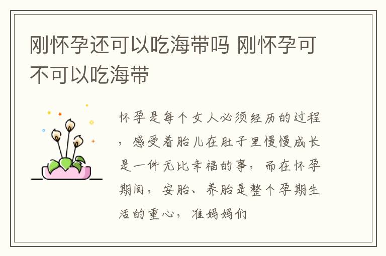 刚怀孕还可以吃海带吗 刚怀孕可不可以吃海带
