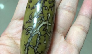 千眼菩提怎样挑选绿色的 怎样挑选千眼菩提子的颜色