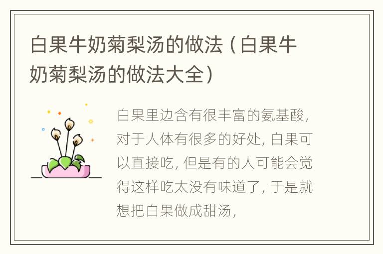 白果牛奶菊梨汤的做法（白果牛奶菊梨汤的做法大全）