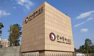 云南艺术学院招生简章 云南艺术学院考生须知