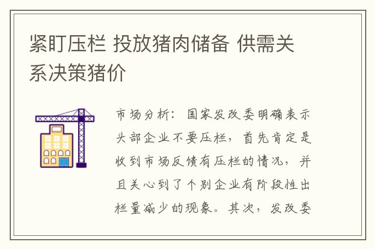 紧盯压栏 投放猪肉储备 供需关系决策猪价
