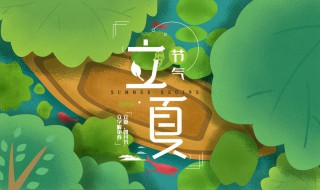描写立夏的句子 关于立夏时节的精美句子