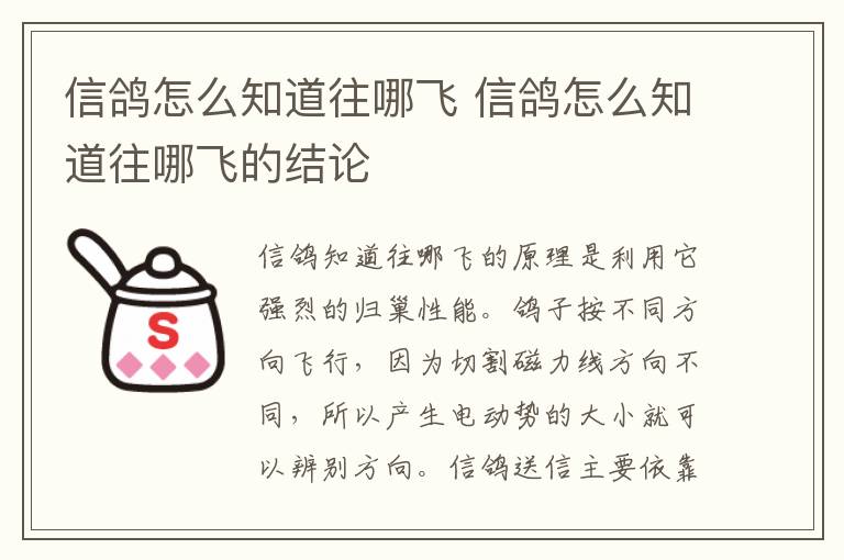 信鸽怎么知道往哪飞 信鸽怎么知道往哪飞的结论
