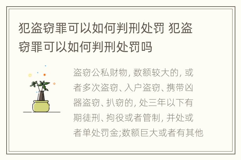 犯盗窃罪可以如何判刑处罚 犯盗窃罪可以如何判刑处罚吗