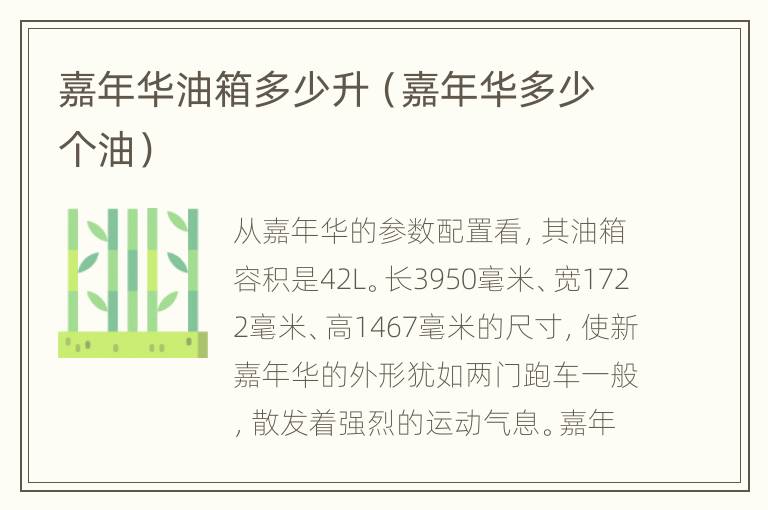 嘉年华油箱多少升（嘉年华多少个油）