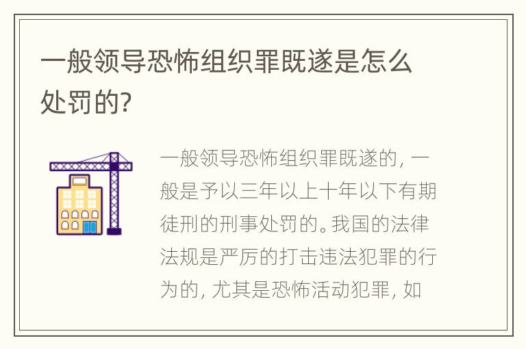一般领导恐怖组织罪既遂是怎么处罚的？