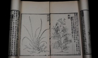 救荒本草是什么时期的著作 救荒本草简介
