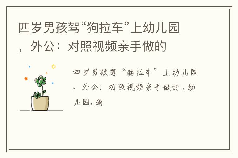 四岁男孩驾“狗拉车”上幼儿园，外公：对照视频亲手做的