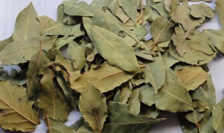 香叶在调料中的作用 香叶有什么用途在材料中