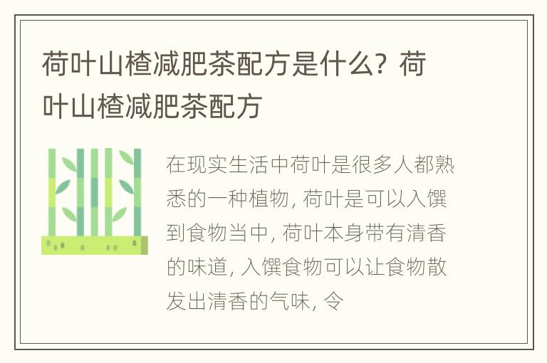 荷叶山楂减肥茶配方是什么？ 荷叶山楂减肥茶配方