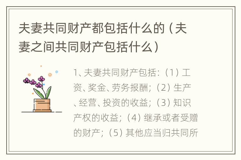 夫妻共同财产都包括什么的（夫妻之间共同财产包括什么）