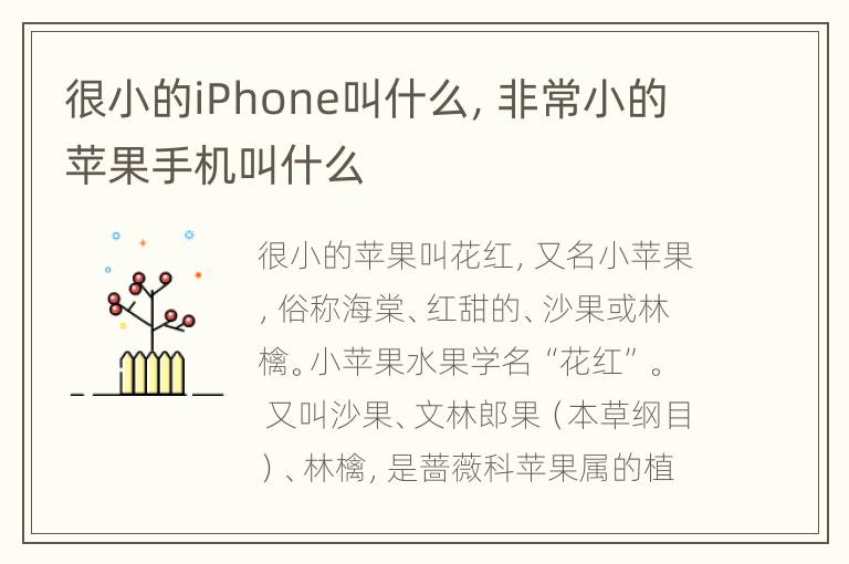 很小的iPhone叫什么，非常小的苹果手机叫什么