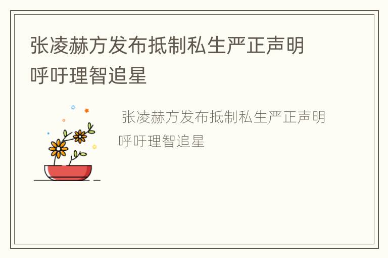 张凌赫方发布抵制私生严正声明呼吁理智追星
