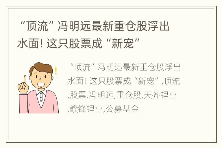 “顶流”冯明远最新重仓股浮出水面！这只股票成“新宠”