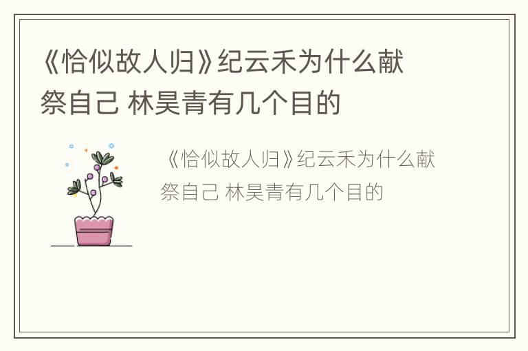 《恰似故人归》纪云禾为什么献祭自己 林昊青有几个目的