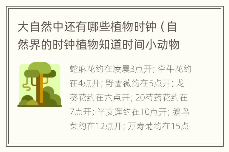大自然中还有哪些植物时钟（自然界的时钟植物知道时间小动物也是这样）