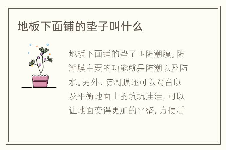 地板下面铺的垫子叫什么