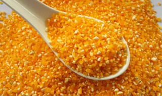 玉米渣可以直接煮粥吗 能不能直接用玉米渣煮粥