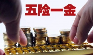 个人五险一金怎么查询 个人五险一金查询方法