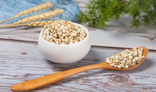 减脂餐薏米饭怎么做 减肥薏米粥怎么做