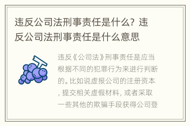 违反公司法刑事责任是什么？ 违反公司法刑事责任是什么意思