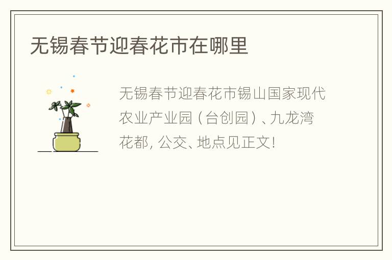 无锡春节迎春花市在哪里