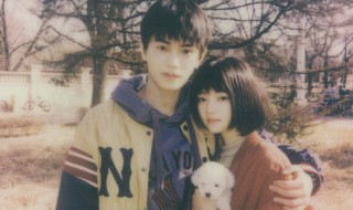 十年一品温如言选角 十年一品温如言电影简介