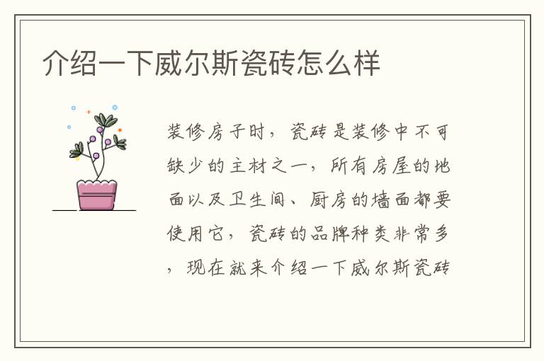 介绍一下威尔斯瓷砖怎么样