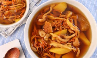 虫草菌菇汤怎么做 虫草菌菇汤需要什么材料
