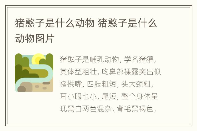 猪憨子是什么动物 猪憨子是什么动物图片