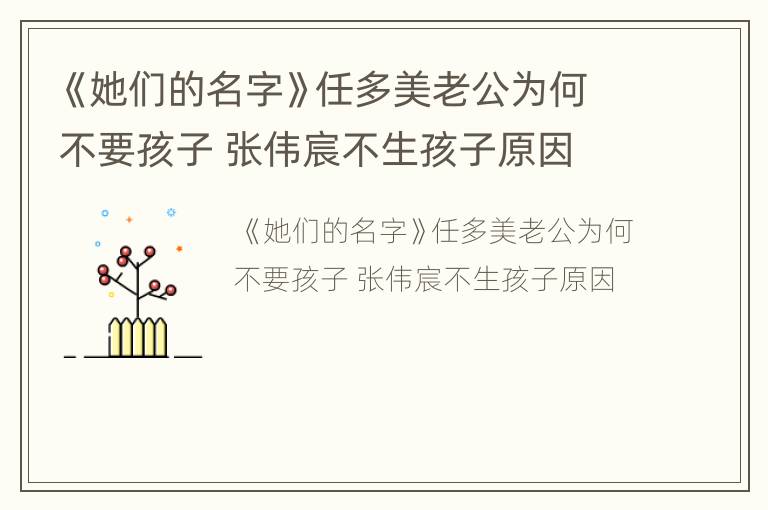 《她们的名字》任多美老公为何不要孩子 张伟宸不生孩子原因