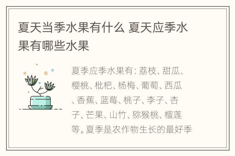 夏天当季水果有什么 夏天应季水果有哪些水果