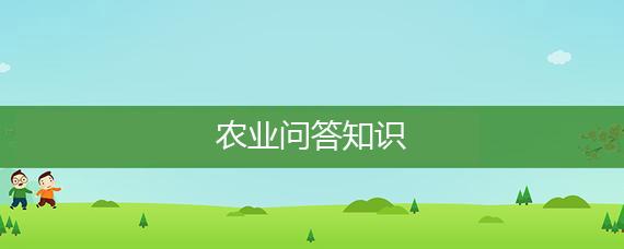 “玉米花生间作”种植模式效果好