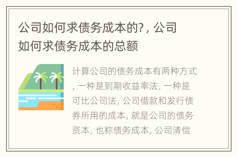 公司如何求债务成本的？，公司如何求债务成本的总额