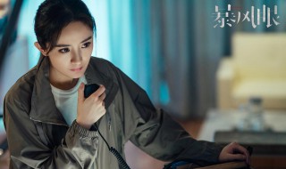 暴风眼中的国安是什么 电视剧暴风眼中国安是什么