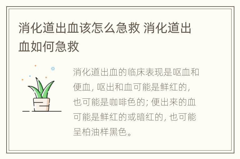 消化道出血该怎么急救 消化道出血如何急救