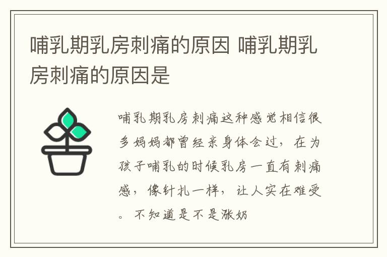 哺乳期乳房刺痛的原因 哺乳期乳房刺痛的原因是
