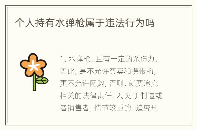 个人持有水弹枪属于违法行为吗