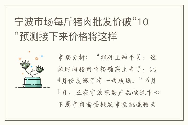 宁波市场每斤猪肉批发价破“10”预测接下来价格将这样